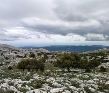 Supramonte di Oliena