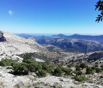Supramonte di Oliena