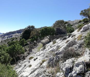Supramonte di Oliena