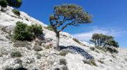 Trekking sul Monte Corrasi ad Oliena escursione e visita Guidata