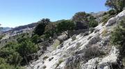 Trekking sul Monte Corrasi ad Oliena escursione e visita Guidata