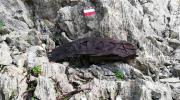 Escursione e visita guidata nel Supramonte di Dorgali e Cala Gonone