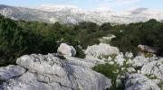Escursione nel territorio di Orgosolo