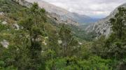 Escursione e visita guidata alla vallata di Lanaitho, in territorio di Oliena