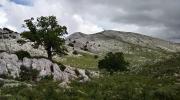 Il Supramonte di Oliena
