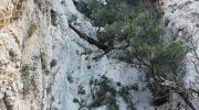Il Supramonte di Dorgali