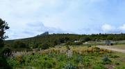 Supramonte di Orgosolo